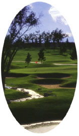 Wild Horse Golf
